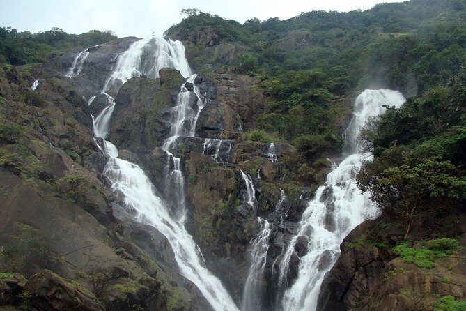 Dudhsagar waterfall wildlife & spice plantation Tour in Goa - Who this tour fits best (and who might skip it)