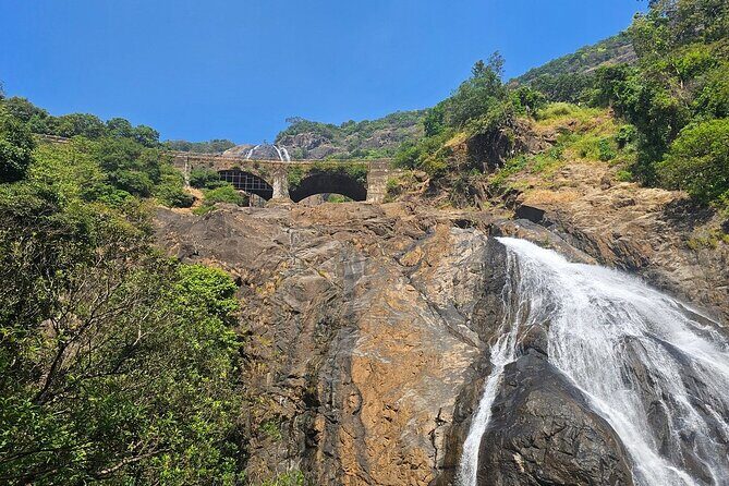 Dudhsagar Waterfalls, Jeep Safari & Spice Plantation private tour - The Quick Take