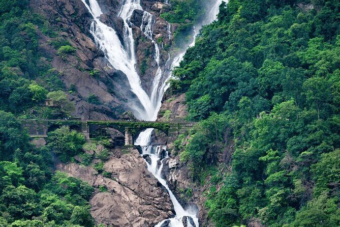 Dudhsagar Waterfalls, Jeep Safari & Spice Plantation private tour - Dudhsagar Waterfalls: Sea of Milk Depends on the Season