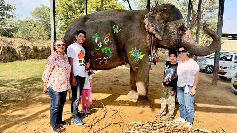 Elefun Best Elephant Sanctuary in Jaipur - Elephant painting with natural, skin-friendly materials