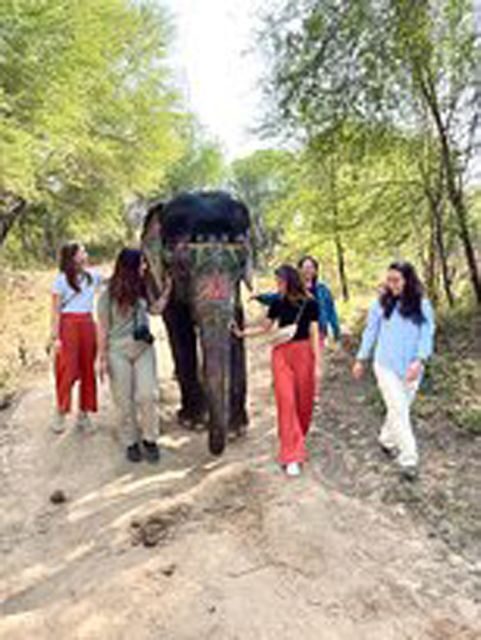 Elephant Sanctuary for Best elephant experience in Jaipur - Key things that make this Elephant Sanctuary visit special