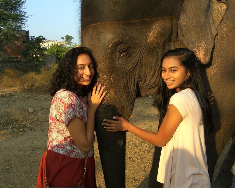 Elephant Sanctuary for Best elephant experience in Jaipur - What you learn during the visit (beyond the feel-good part)