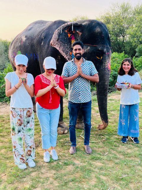 Elephant Sanctuary for Best elephant experience in Jaipur - Price and value: what $62 per person buys you