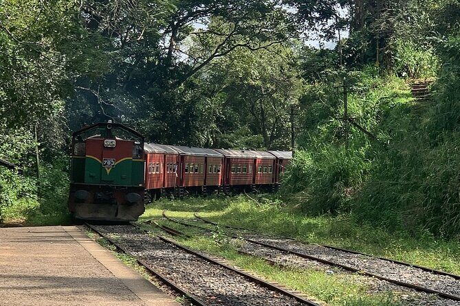 Ella Private Day Tour - Departing from Any Location in Sri Lanka - Nine Arch Bridge: why this stop is more than a photo stop