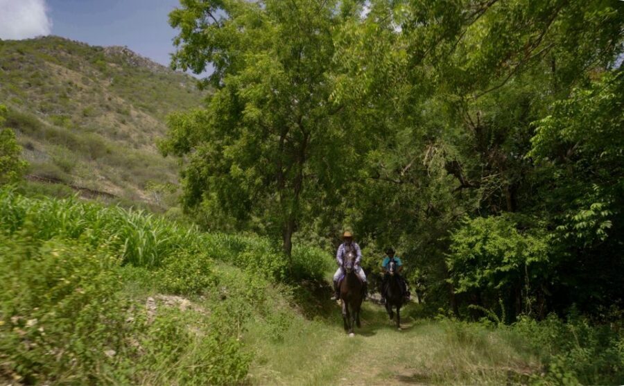 Equestrian Escape: Horse Safari Adventure - Key moments you’ll notice