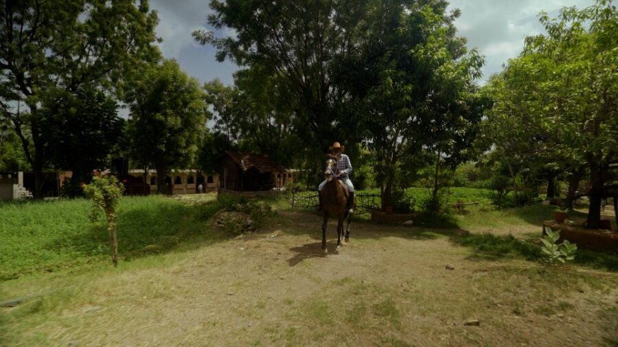 Equestrian Escape: Horse Safari Adventure - Book It or Skip It: My decision guide