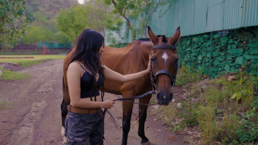 Equestrian Escape: Horse Safari Adventure - Learning Maharana Pratap’s Horse and the Marwari Connection