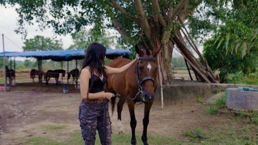 Equestrian Escape: Horse Safari Adventure - Your Riding Lesson and the Off-the-Radar Trail Ride