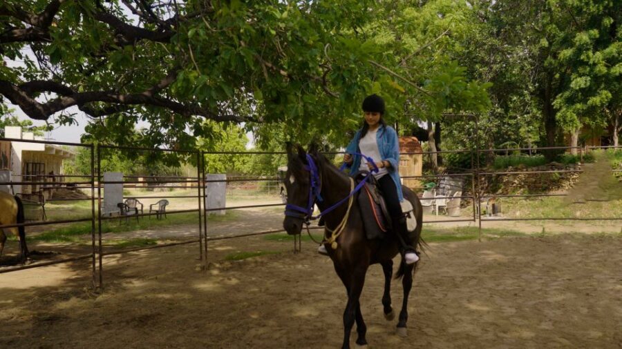Equestrian Escape: Horse Safari Adventure - Price and Value: Is $104 per person worth it?