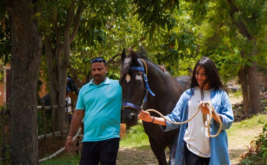 Equestrian Escape: Horse Safari Adventure - Included vs. Not Included: What you should plan for