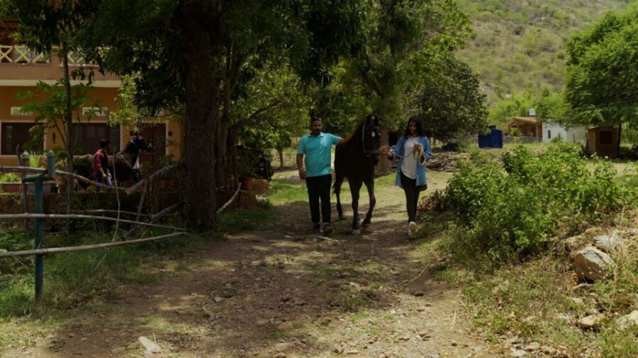 Equestrian Escape: Horse Safari Adventure - Who Should Book This Horse Safari Adventure?