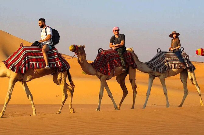 Exclusive 1-day Jaisalmer Tour with High End SUV. - Starting at 9:00 am: how the day usually feels