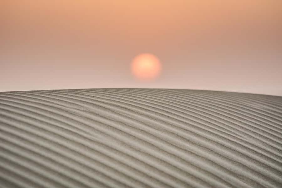 Exclusive Musical Evening at Desert Luxury Camp (NO CAMEL) - Price and Value: Why It Costs More Than a Basic Safari