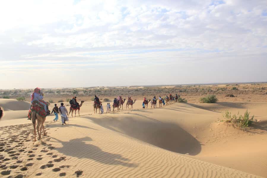 Exclusive Musical Evening at Desert Luxury Camp (NO CAMEL) - Afternoon Tea and the National Park Timing