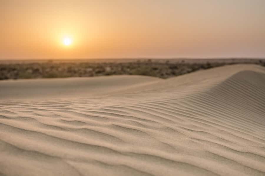 Exclusive Musical Evening at Desert Luxury Camp (NO CAMEL) - Your Best Move: Follow Asif’s Lead and Slow Down