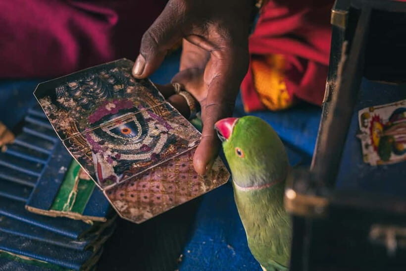 Experience Bangalore - Evening City Walk Tour & Market Visit - Practical ways to get the most out of your evening