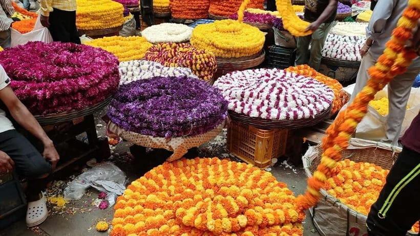 Experience Bangalore - Evening City Walk Tour & Market Visit - Starting at Vidhana Soudha: the right opening for understanding Bangalore