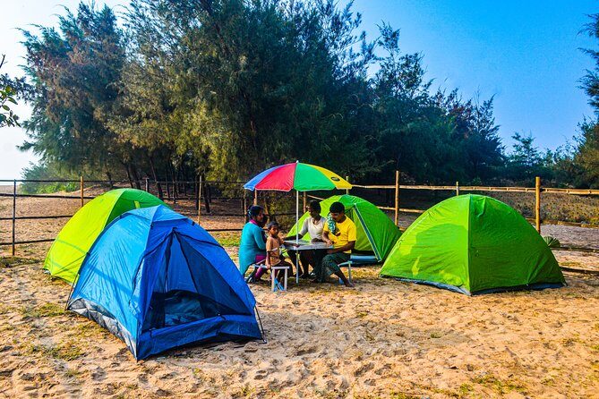 Experience Beach Camping - The Camp Night: Games, Bonfire Energy, and Waves for Sleep
