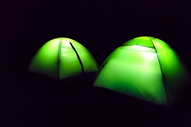 Experience Beach Camping - Best Fit: Who Should Book This Beach Camping in Odisha