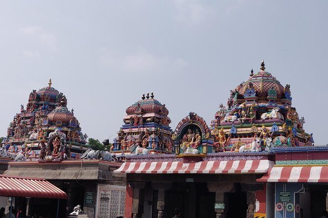 Experience Mylapore: Enriching Walking Trail Tour - The included rickshaw ride: why it beats trying to self-navigate
