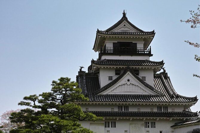 Experience the energy of Kochi: Sunday Market Tour includes Kochi Castle - Key things that make this tour worth your time