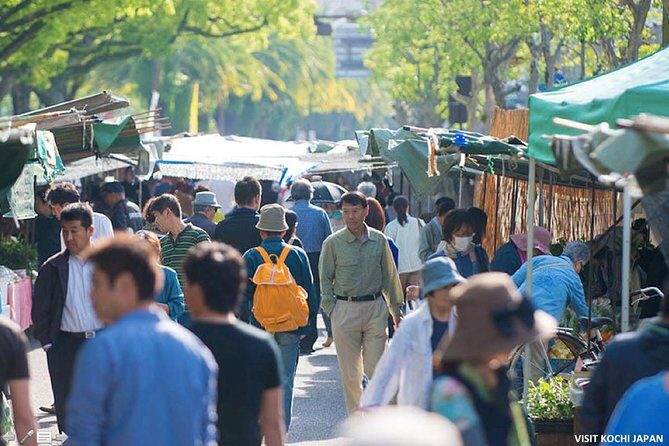 Experience the energy of Kochi: Sunday Market Tour includes Kochi Castle - Hirome Ichiba: the food hall stop that turns browsing into tasting