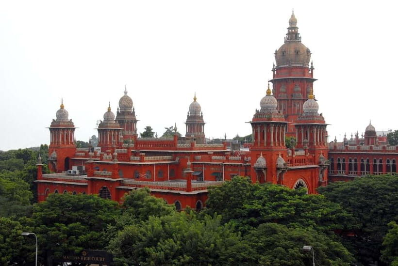 Experience the Essence of Chennai: Half-Day City Exploration - Pattinampakkam Fish Market and Marina Beach: Chennai Through Smell, Sound, and Light
