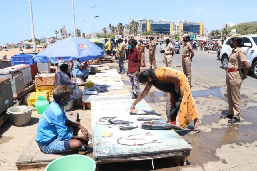Experience the Essence of Chennai: Half-Day City Exploration - Egmore Government Museum: South Indian Art and Archaeology in a Practical Setting