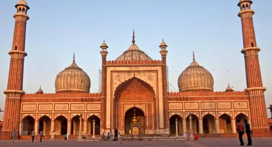 Explore Chandni Chowk: Old Delhi Private Tuk Tuk & Food Tour - Street food stops: how to get the flavors without playing guessing games