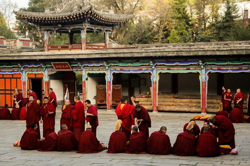 Explore Dharamshala's monasteries for Tibetan spirituality - Price and timing: what $54 buys in a 6-hour day