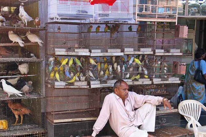 Explore the New colorful places in Mumbai Market Tour - Price and Value: What $36.24 Gets You (and What It Doesn’t)
