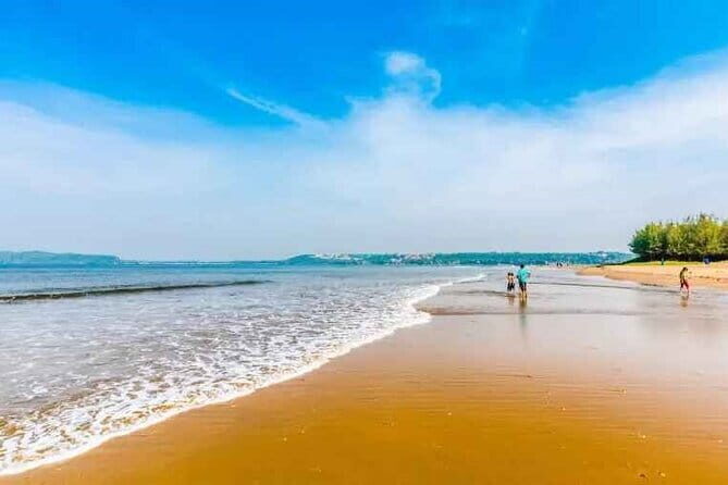 Explore The South Goa Full-Day City Sightseeing Tour - Archaeological Museum: Worth It If You Like Details