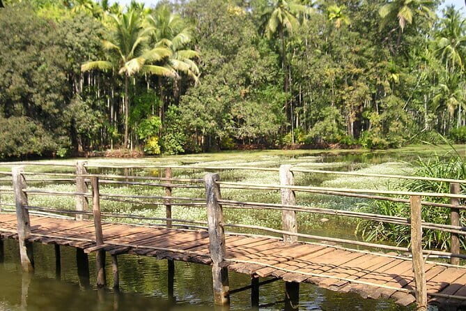 Explore The South Goa Full-Day City Sightseeing Tour - Panjim’s Churches, Fontainhas, and the Short Break Stop