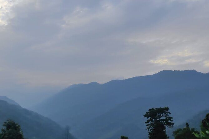 Farm stay in Sikkim to explore monasteries and villages over 5 days - Yangsum Farm at 6,000 Feet: A Working Organic Base, Not a Fancy Retreat