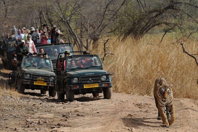 Five Days Golden Triangle Tour with Ranthambore Delhi Agra Jaipur - Sunrise Taj Mahal and Agra Fort: The Most Efficient Way to See Love and Power