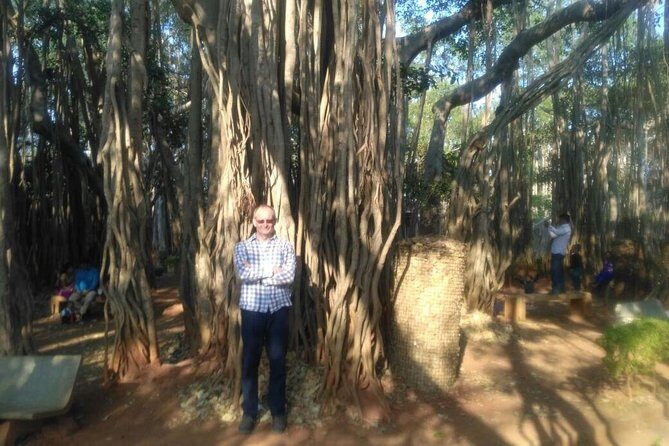 Folk art trail in Bangalore - The 400-year-old banyan tree house stop: the slow beat you’ll remember