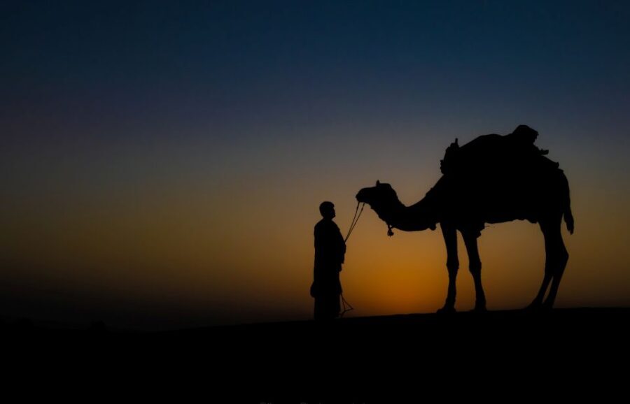 Frenzy Paradise Overnight Thar Desert Camping Tour - Practical Tips Before You Go