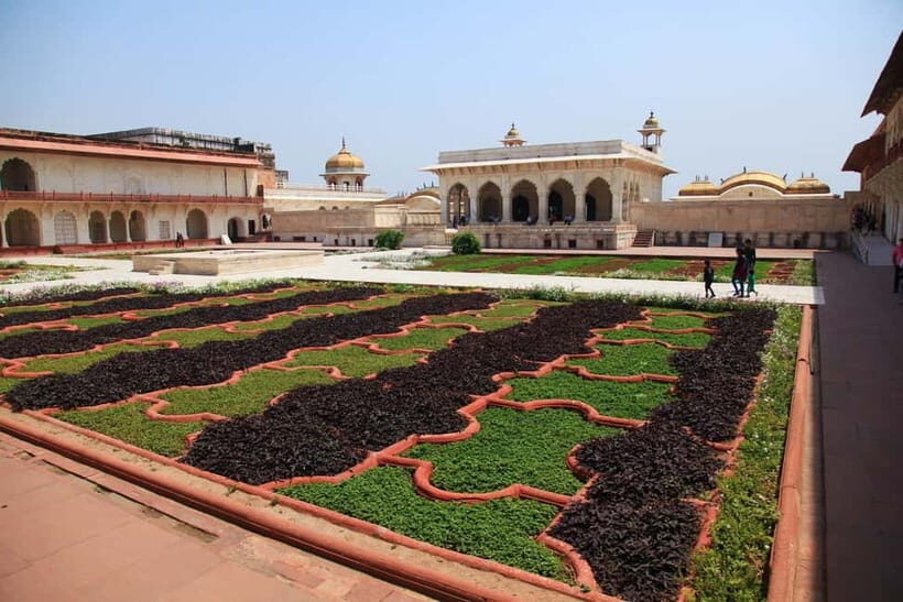 From Agra: Half Day Sunrise Tour of Taj Mahal with Agra Fort - Who this tour suits best (and who should skip it)