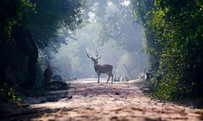 From Agra: Taj Mahal, Fatehpur Sikri & Bird Safari Tour - A Smooth Start in Agra: Pickup, AC Comfort, and Small-Group Pace