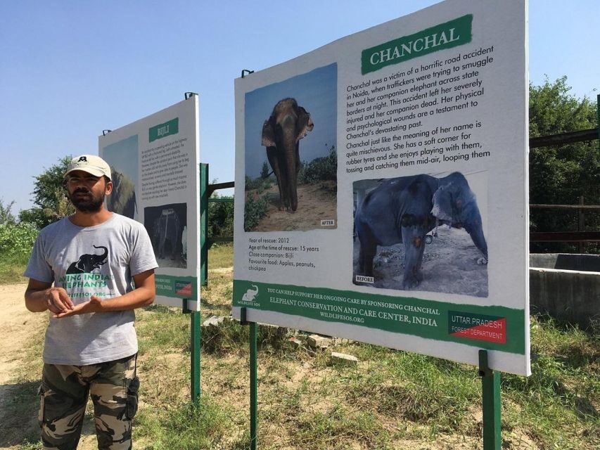 From Agra: Visit to Wildlife SOS Elephant Conservation Trip - Wildlife SOS and Agra: the point of the trip