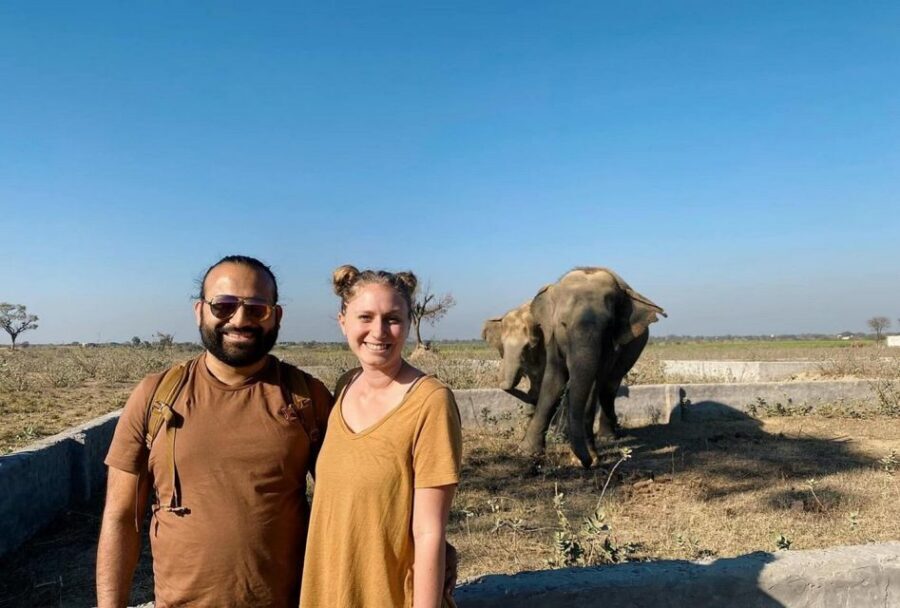 From Agra: Visit to Wildlife SOS Elephant Conservation Trip - Price and what you’re really paying for