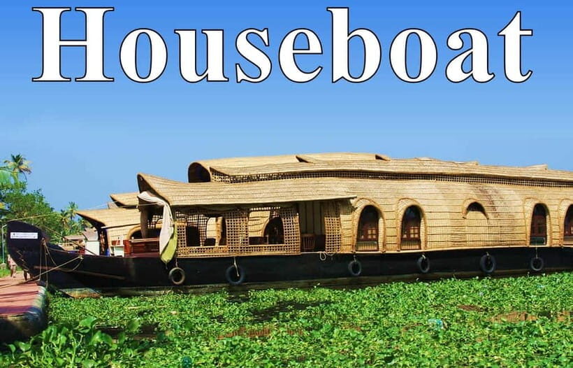 From Cochin Port: Backwater Cruise and Chinese Nets - Shikara vs houseboat: what changes on the water