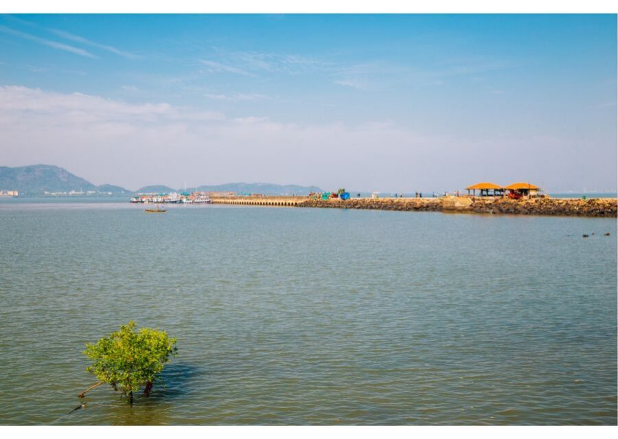 From Colaba: Half-Day Sightseeing Tour with Elephanta Caves - Key highlights to look for