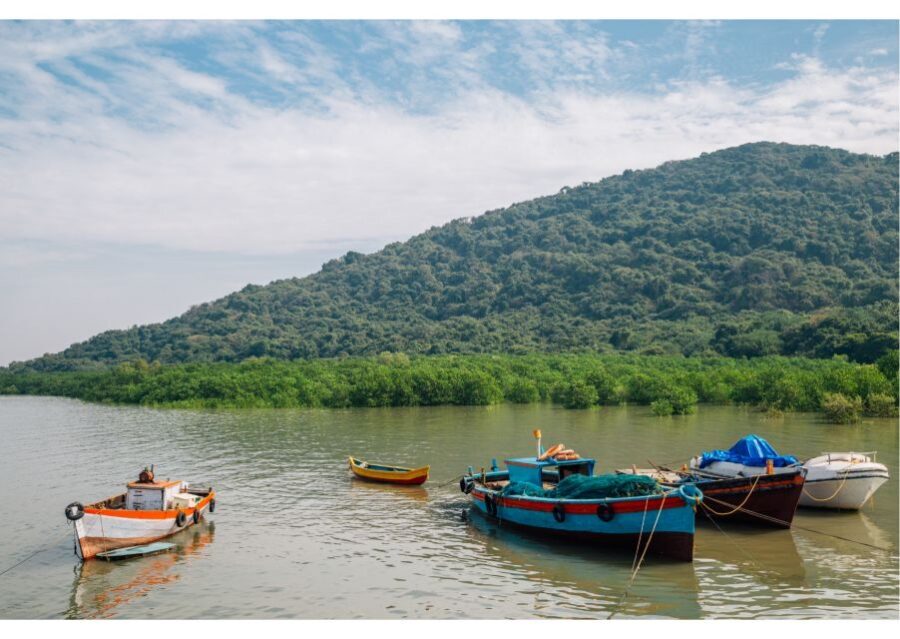From Colaba: Half-Day Sightseeing Tour with Elephanta Caves - Toy train at the plateau: saving your legs for the good carving