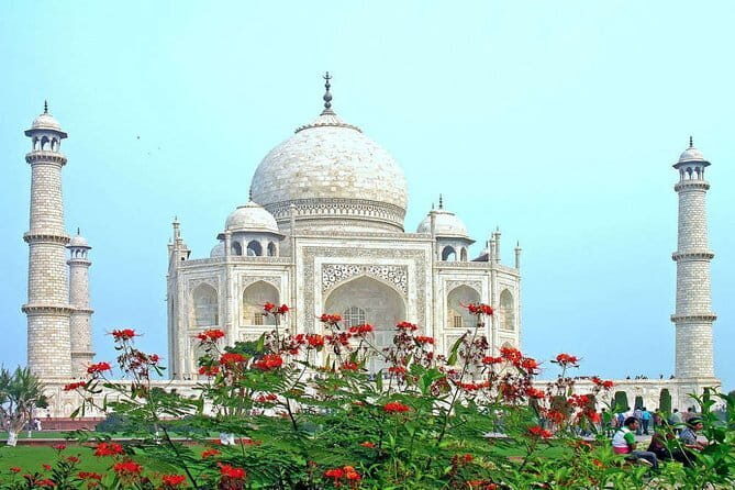 From Delhi: 1-day trip Mathura with Elephant conservation - How the day runs: private group comfort, guide support, and smart timing