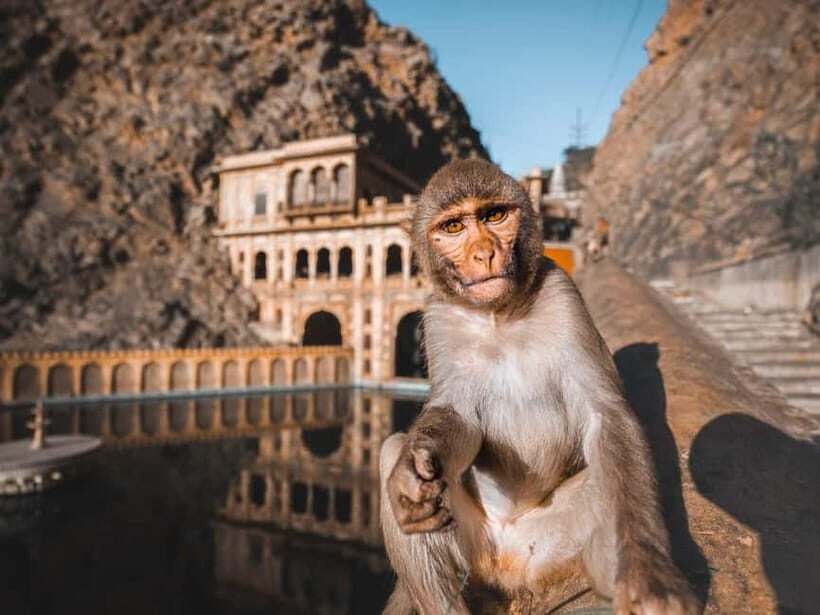 From Delhi: 2-Day Agra & Jaipur Golden Triangle Experience - Taj Mahal + Agra Fort: Where the Guide Changes Everything
