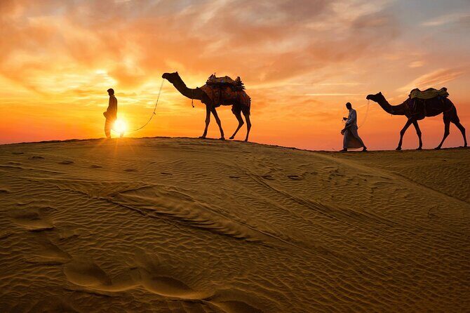 From Delhi: 3 Days Private Golden Triangle India Tour - A tight 3-day Golden Triangle with smart handoffs