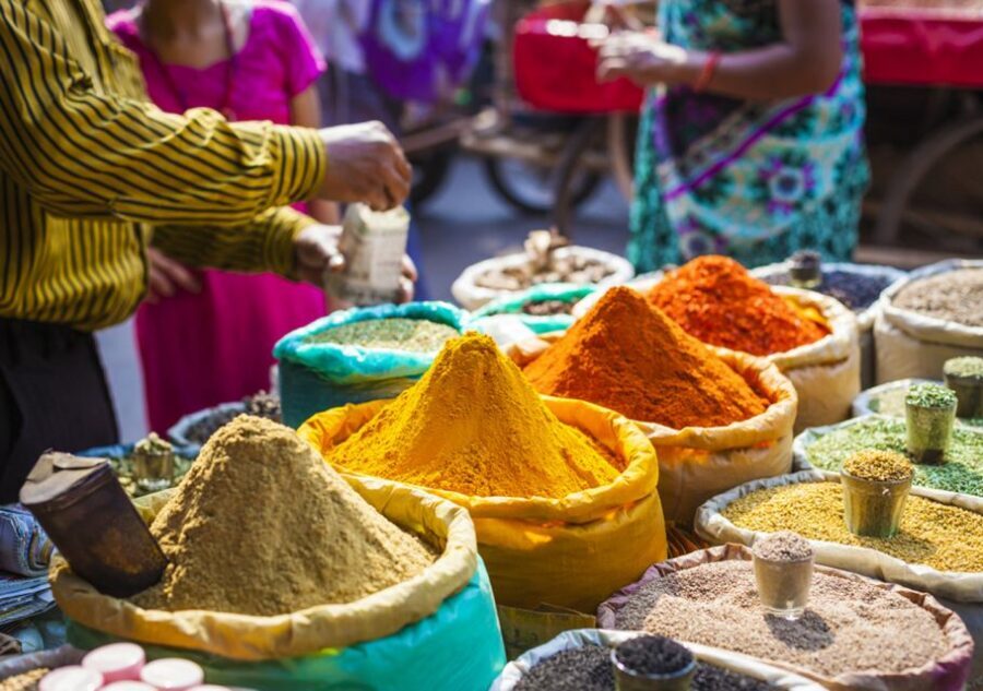 From Delhi: All Inclusive Old & New Delhi Tour With Option. - Drive-by monuments and quiet pauses at Lodhi Garden and Agrasen ki Baoli