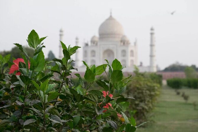 From Delhi : Luxury Taj Mahal Tour By Luxury Car- All Inclusive - Taj Mahal: using your guide to see more than the postcard