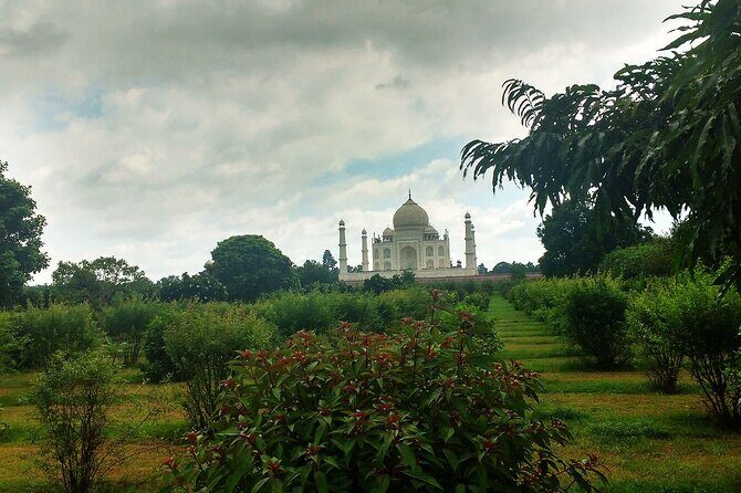 From Delhi : Luxury Taj Mahal Tour By Luxury Car- All Inclusive - Lunch at Courtyard Agra and time at The Art Emporio